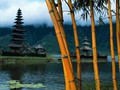 b-18908-bambu